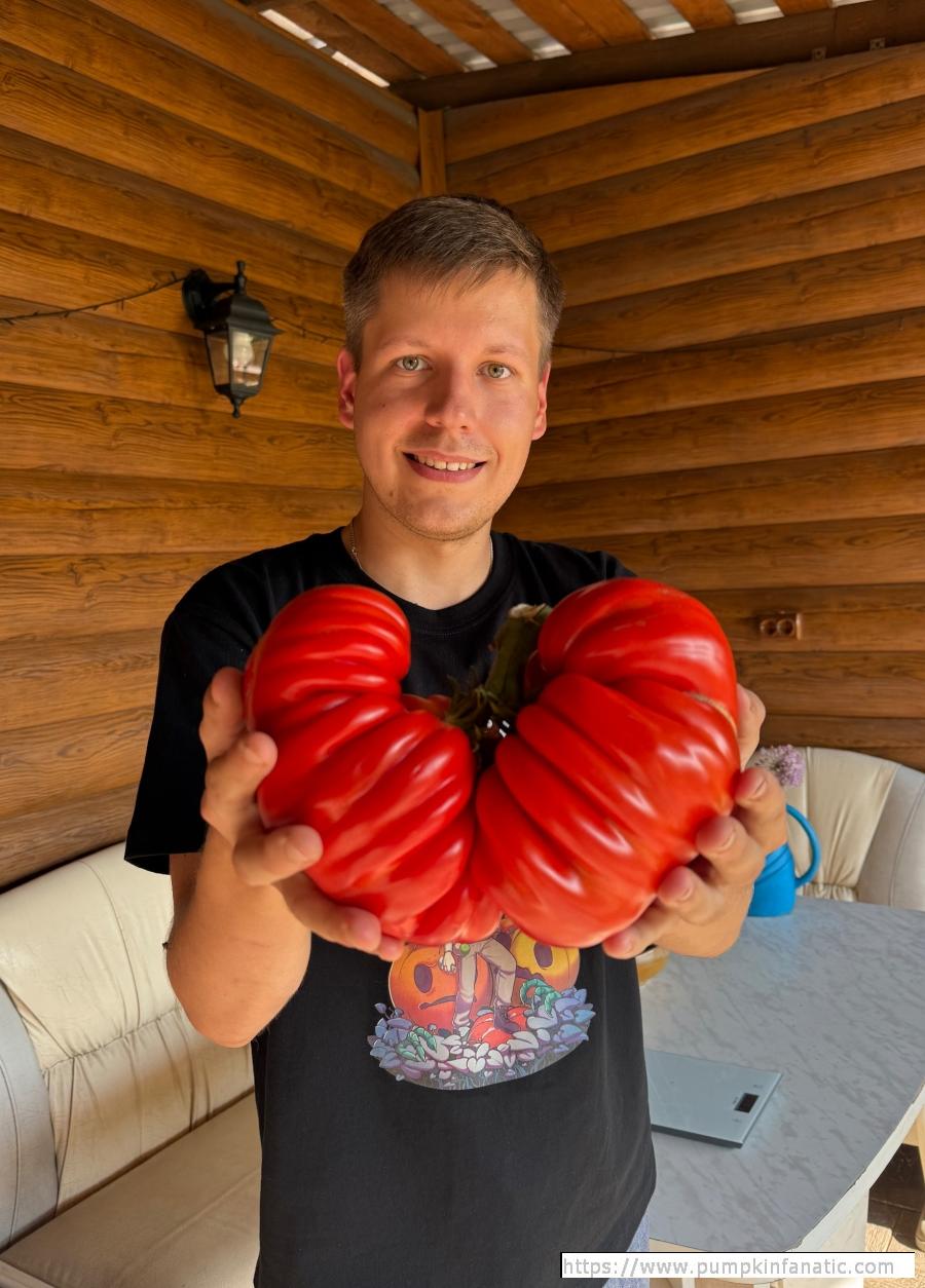 fruitImages/4.73 Sonin 2026B.jpeg